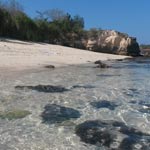 MBO Hospitality, tourism & leisure