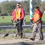 MBO Vakbekwaam medewerker hovenier en groenvoorziening